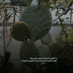 دانلود آهنگ در پی چشمت شهر به شهر
